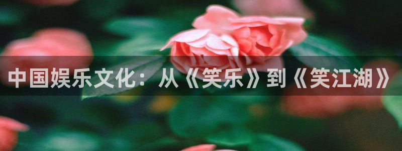 jjb竞技宝app：中国娱乐文化：从《笑乐》到《笑江湖》