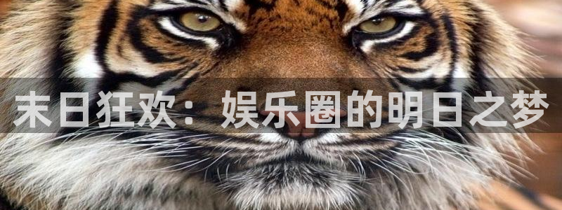 jjb竞技宝(中国)：末日狂欢：娱乐圈的明日之梦