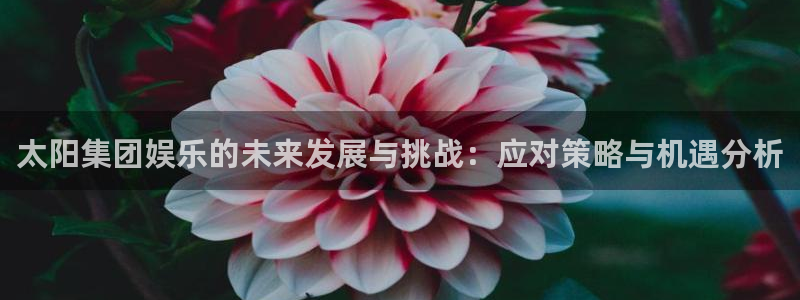 jjb竞技宝：太阳集团娱乐的未来发展与挑战：应对策略与机遇分析
