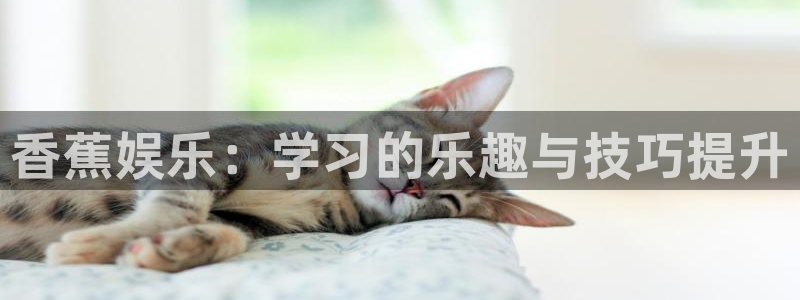 jjb竞技宝：香蕉娱乐：学习的乐趣与技巧提升
